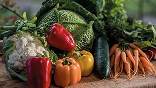 How to grow winter veges